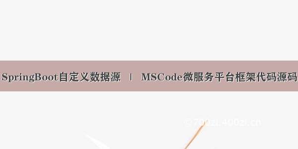 SpringBoot自定义数据源   |   MSCode微服务平台框架代码源码