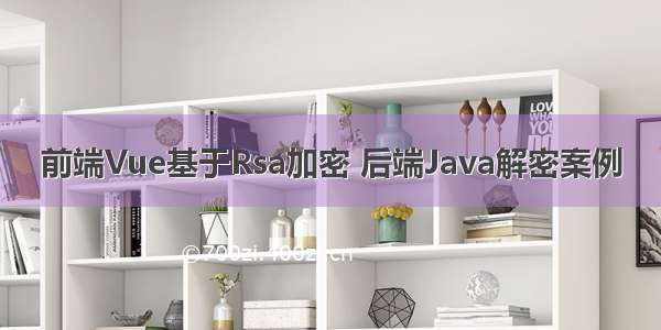 前端Vue基于Rsa加密 后端Java解密案例