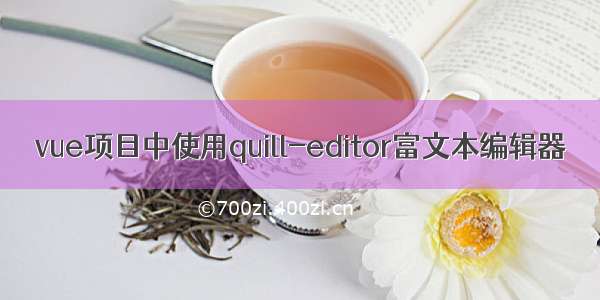 vue项目中使用quill-editor富文本编辑器