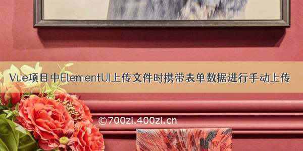 Vue项目中ElementUI上传文件时携带表单数据进行手动上传