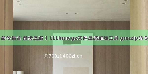 【Shell 命令集合 备份压缩 】⭐⭐Linux gz文件压缩解压工具 gunzip命令 使用指南