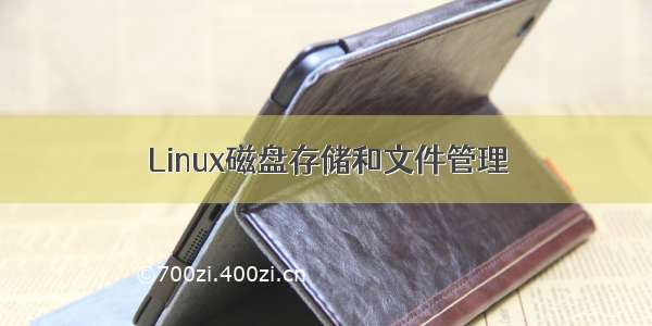 Linux磁盘存储和文件管理