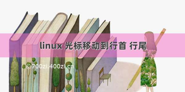 linux 光标移动到行首 行尾