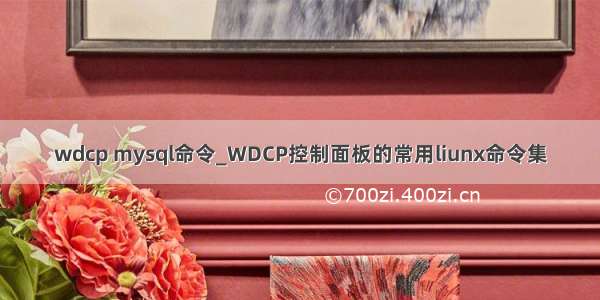 wdcp mysql命令_WDCP控制面板的常用liunx命令集