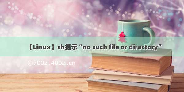 【Linux】sh提示“no such file or directory”