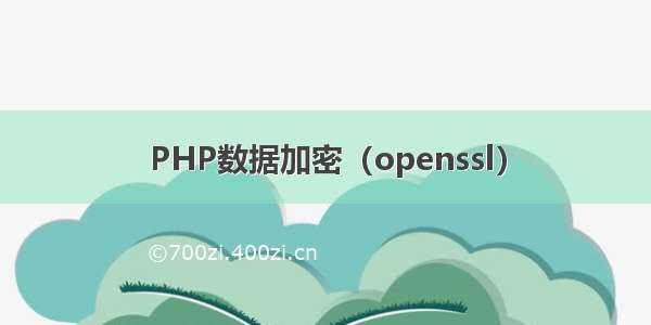 PHP数据加密（openssl）