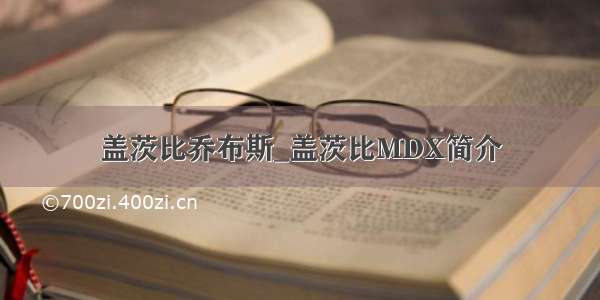 盖茨比乔布斯_盖茨比MDX简介