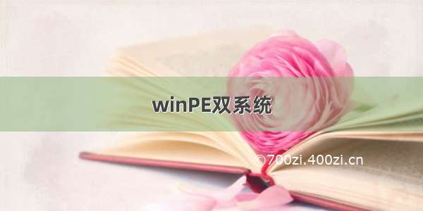 winPE双系统