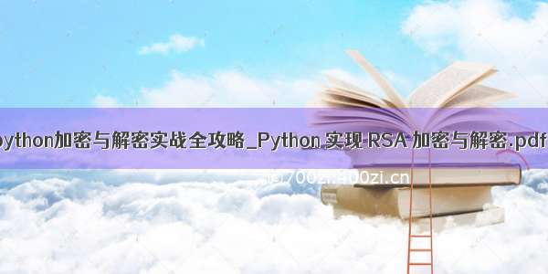 python加密与解密实战全攻略_Python 实现 RSA 加密与解密.pdf