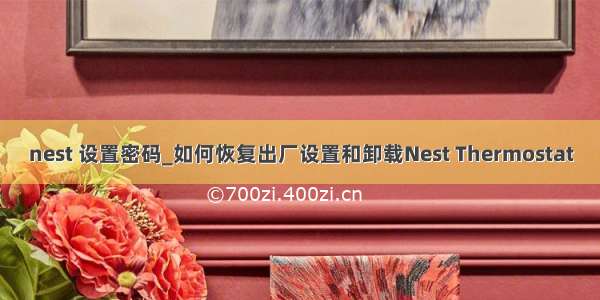 nest 设置密码_如何恢复出厂设置和卸载Nest Thermostat