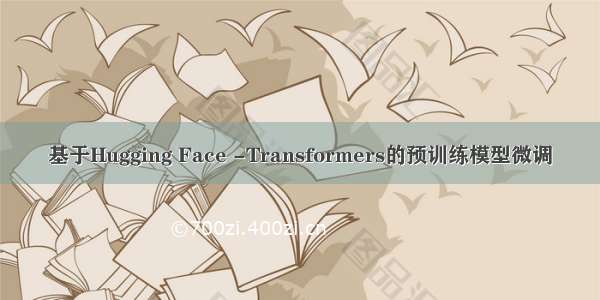 基于Hugging Face -Transformers的预训练模型微调