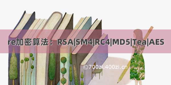 re加密算法：RSA|SM4|RC4|MD5|Tea|AES