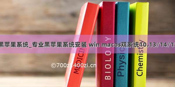 黑苹果系统_专业黑苹果系统安装 win macos双系统10.13/14/15