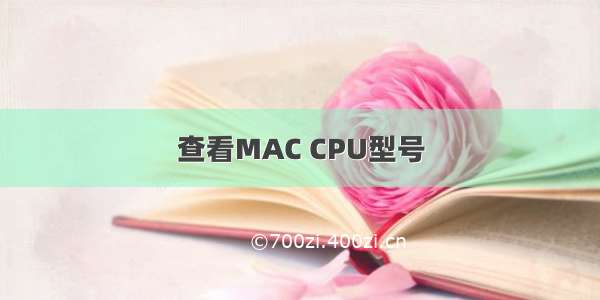 查看MAC CPU型号