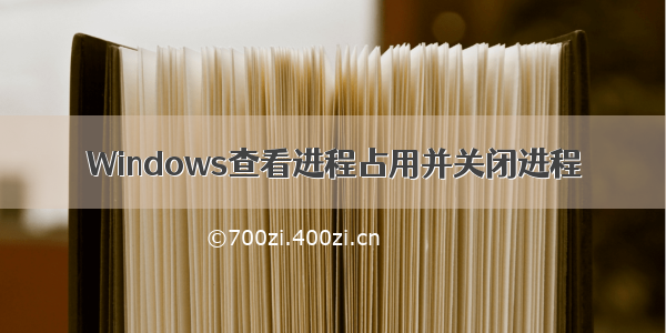 Windows查看进程占用并关闭进程