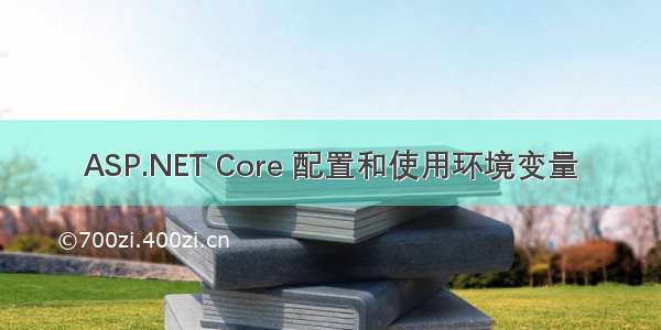 ASP.NET Core 配置和使用环境变量