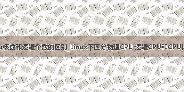 cpu核数和逻辑个数的区别_Linux下区分物理CPU 逻辑CPU和CPU核数