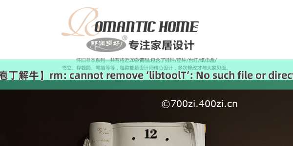 【庖丁解牛】rm: cannot remove ‘libtoolT‘: No such file or directory