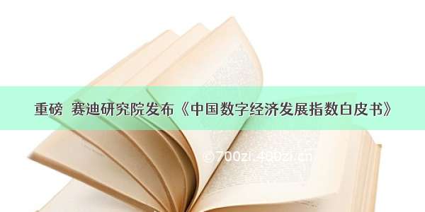 重磅｜赛迪研究院发布《中国数字经济发展指数白皮书》