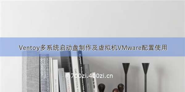 Ventoy多系统启动盘制作及虚拟机VMware配置使用