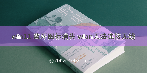 win11 蓝牙图标消失 wlan无法连接无线