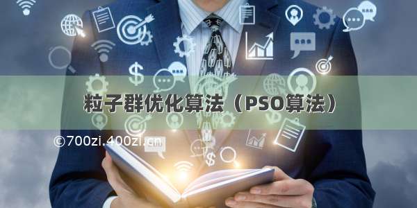 粒子群优化算法（PSO算法）