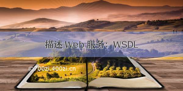 描述 Web 服务：WSDL