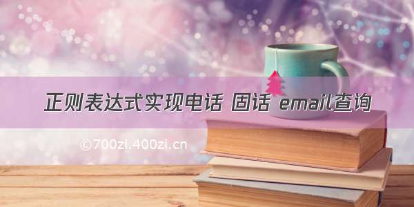 正则表达式实现电话 固话 email查询