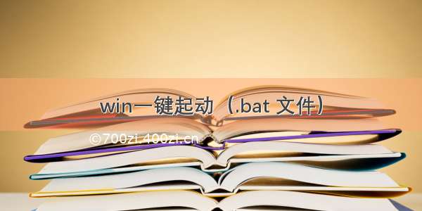 win一键起动（.bat 文件）