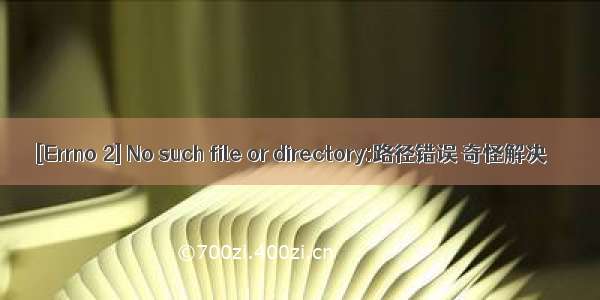 [Errno 2] No such file or directory:路径错误 奇怪解决