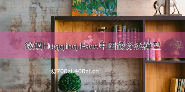 微调Hugging Face中图像分类模型