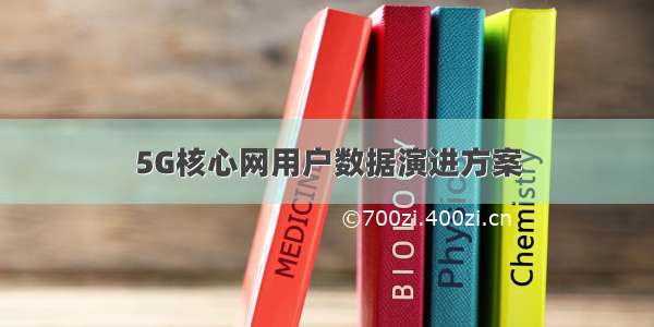 5G核心网用户数据演进方案