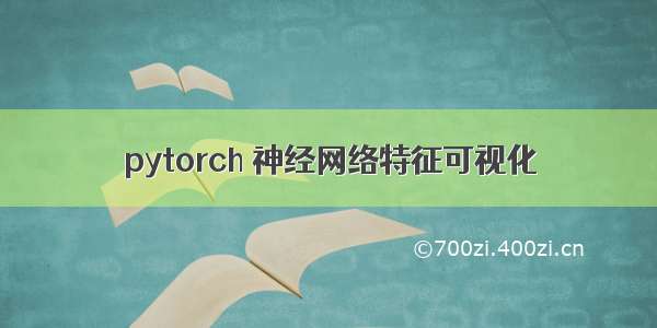 pytorch 神经网络特征可视化