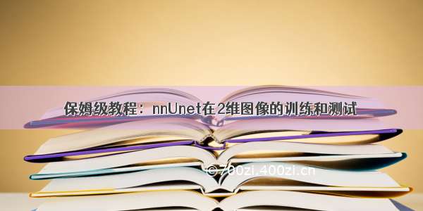 保姆级教程：nnUnet在2维图像的训练和测试