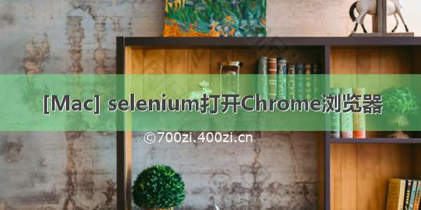 [Mac] selenium打开Chrome浏览器