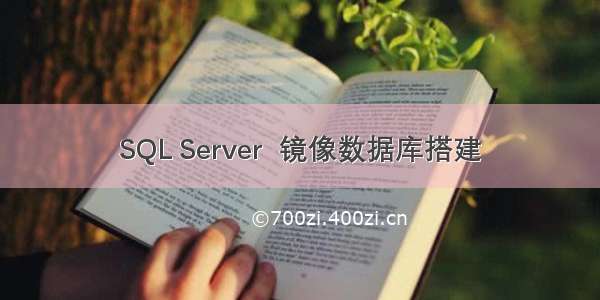 SQL Server  镜像数据库搭建