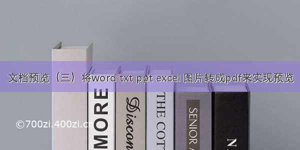 文档预览（三）将word txt ppt excel 图片转成pdf来实现预览