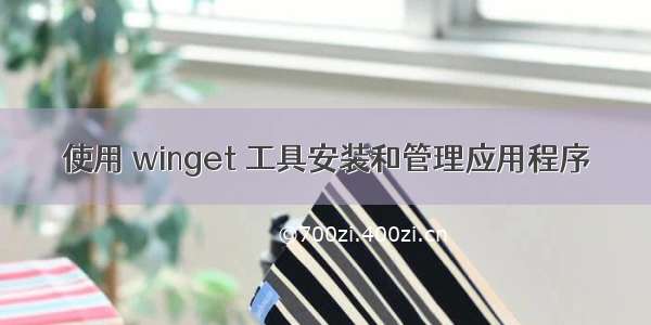 使用 winget 工具安装和管理应用程序