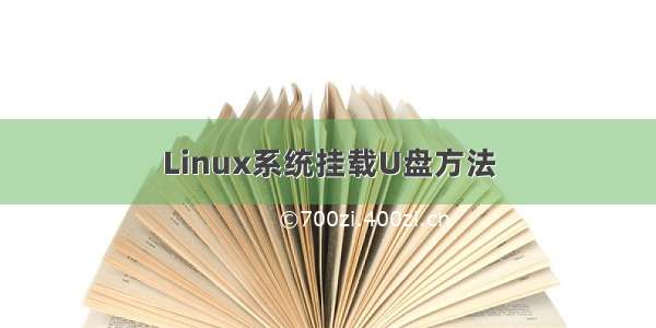 Linux系统挂载U盘方法