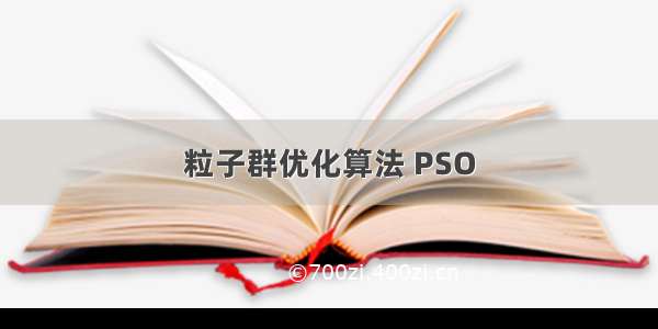 粒子群优化算法 PSO