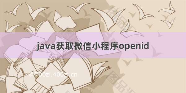 java获取微信小程序openid