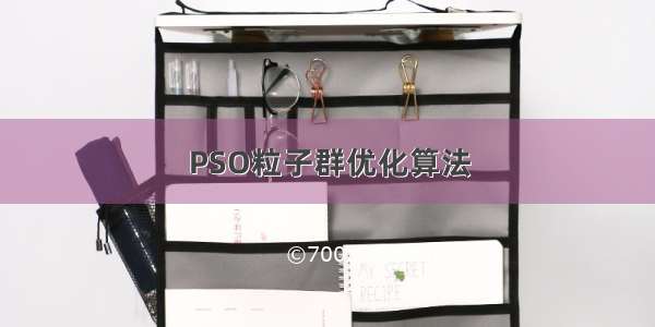 PSO粒子群优化算法