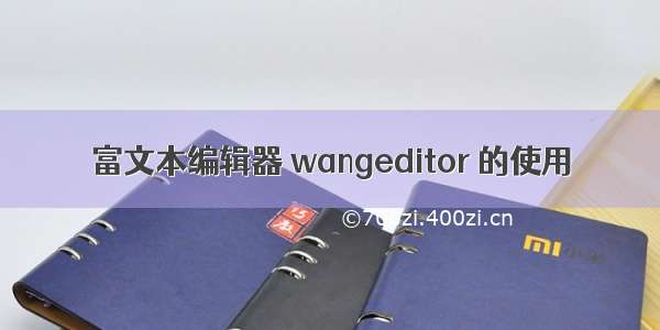 富文本编辑器 wangeditor 的使用