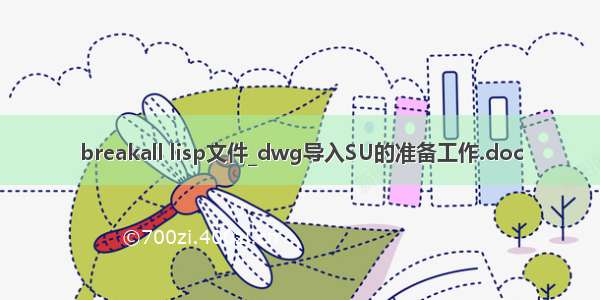 breakall lisp文件_dwg导入SU的准备工作.doc