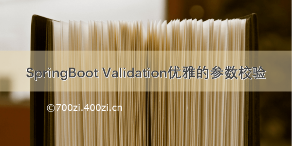 SpringBoot Validation优雅的参数校验