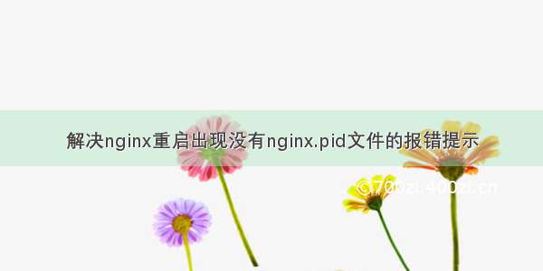 解决nginx重启出现没有nginx.pid文件的报错提示