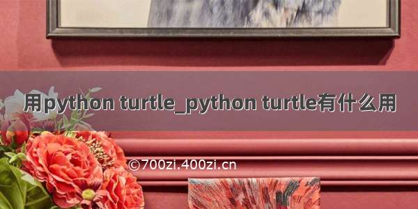 用python turtle_python turtle有什么用