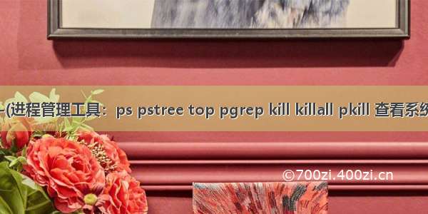 Linux笔记 No.20---(进程管理工具：ps pstree top pgrep kill killall pkill 查看系统资源的使用vmstat)