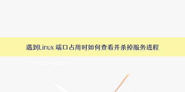 遇到Linux 端口占用时如何查看并杀掉服务进程