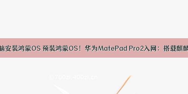 平板电脑安装鸿蒙OS 预装鸿蒙OS！华为MatePad Pro2入网：搭载麒麟9000